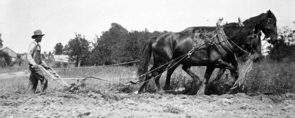 plowing-with-horse-team-edited-c
